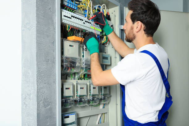 Best Electrical System Inspection  in St Clair Shores, MI