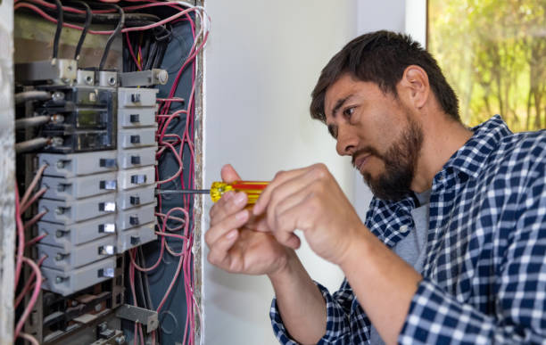 Best Home Electrical Repair  in St Clair Shores, MI